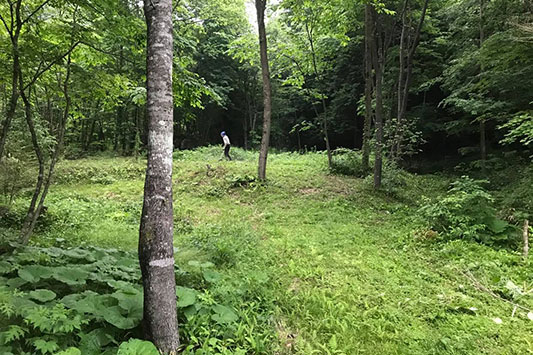 �X�̑�����