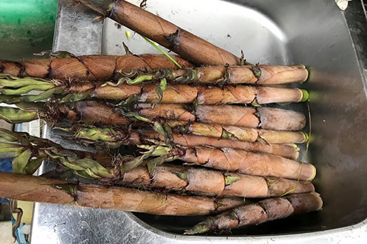 �����̂�