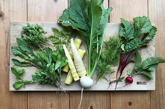 ���n�������