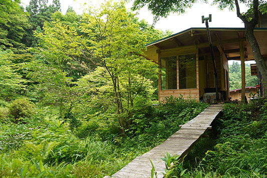 �����C�O��