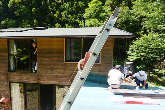 �����C�����̉����{�H