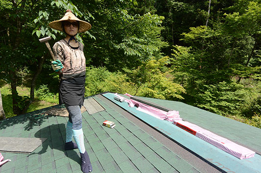 �����C�����̉����{�H