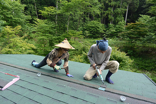 �����C�����̉����{�H