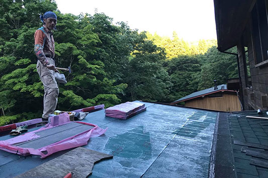 �����C�����̉����{�H