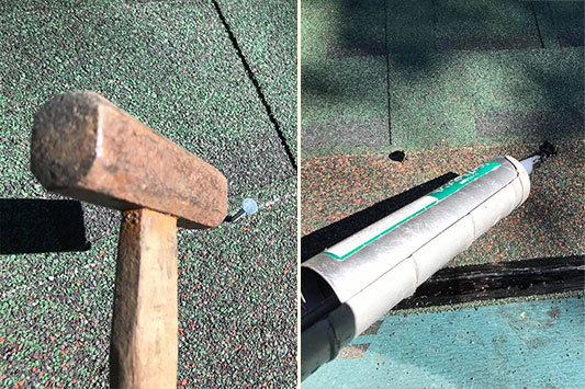 �����C�����̉����{�H