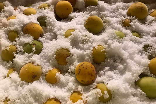 �~��Ђ���