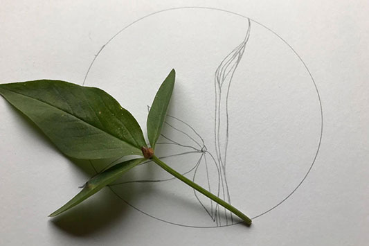 �J���X�r�V���N