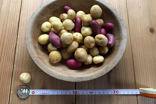 ���n�����W���K�C��