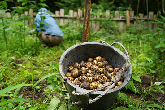 ���n�����W���K�C��