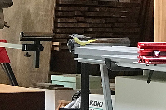 �e�[�u���\�[�@x�@�L�Z�L���C