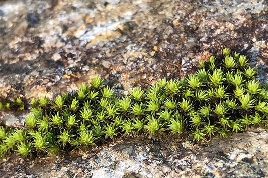 �y�p���Ɠy