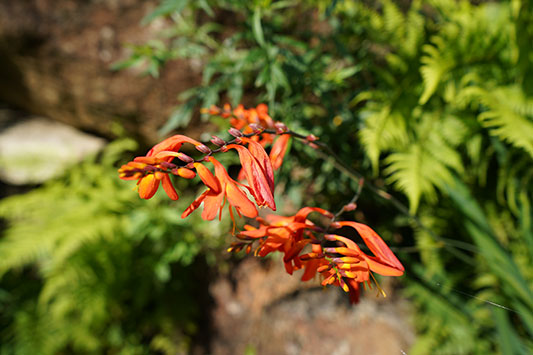 �~������