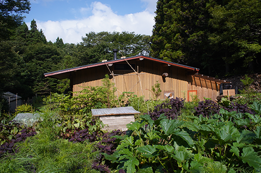 �|���E���K