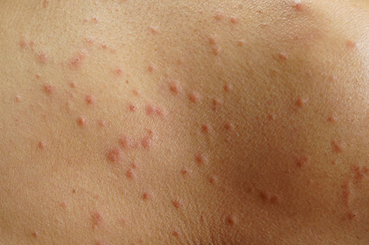 �ꖇ�̐܂莆������ꂽ�܂��