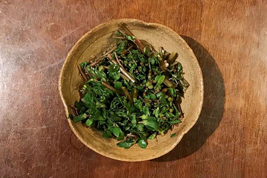 �X�x���q���̂��Ђ���