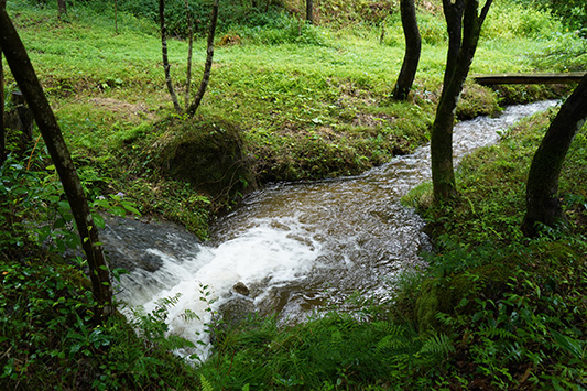 ���܂Ȃ���