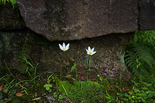 ���΂�����񂪈�ĂĂ���������