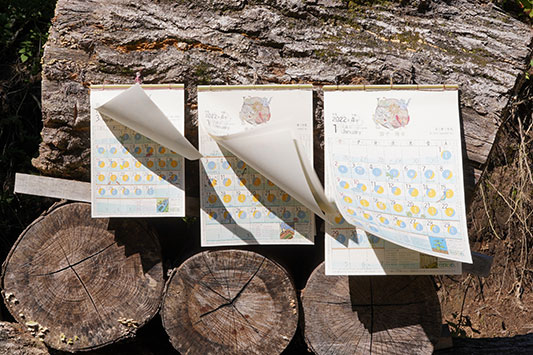 �͂���ߌ��̃J�����_�[