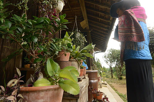 �����Ђ�ɂ��͂����