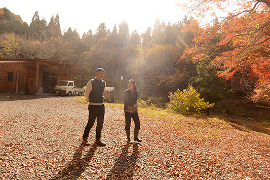 �W���[�W�����