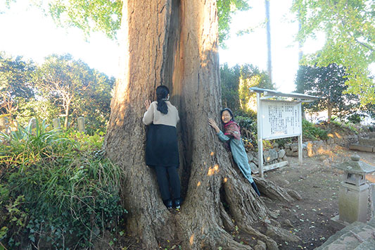 ����P�O�O�O�N�𒴂����ǂ̌Ö�