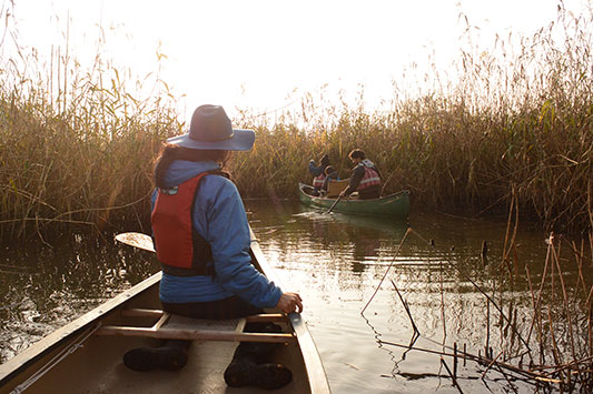 �^�J�ƈꏏ��