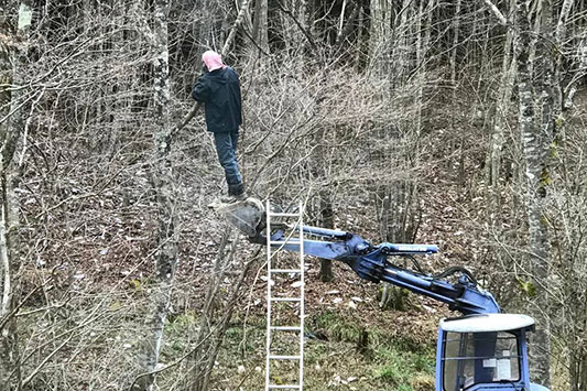 �����{����ƈꏏ��