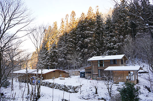 �͂���߃����h�ɂ�