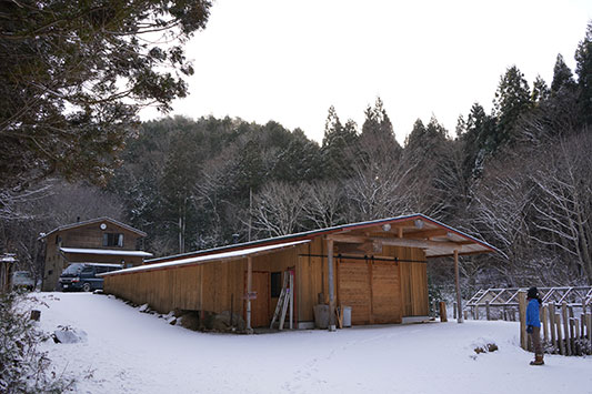 �͂���߃����h�ɂ�