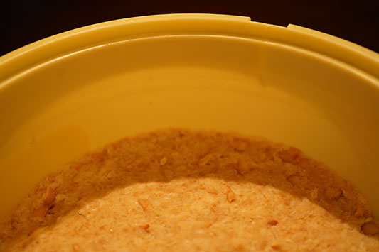 �P���P�W���O�W���S�W��