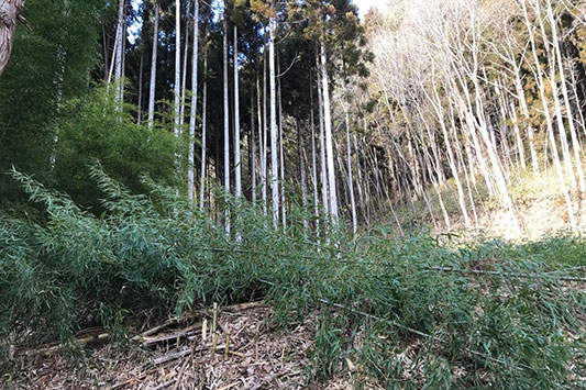 �P���P�W���O�W���S�W��