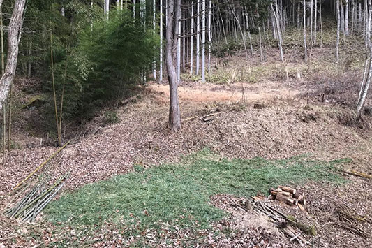 �P���P�W���O�W���S�W��