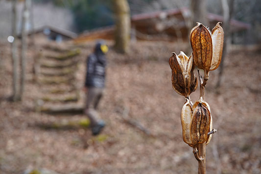 �P���P�W���O�W���S�W��