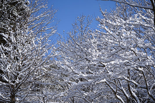 ��̂͂���߃����h