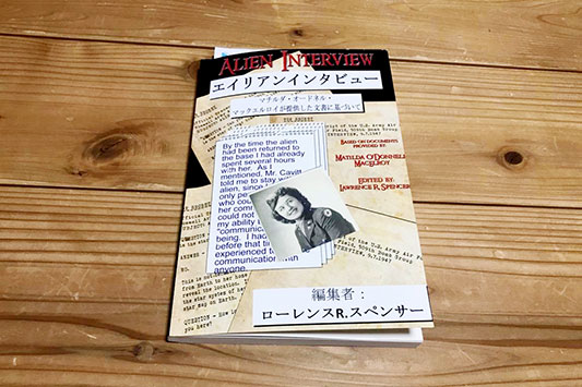 �G�C���A���C���^�r���[