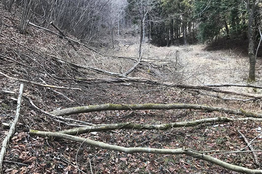 �V������