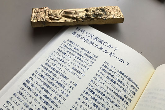 �����Ŗ����ŖS���H��]�̎��R�G�l���M�[���H