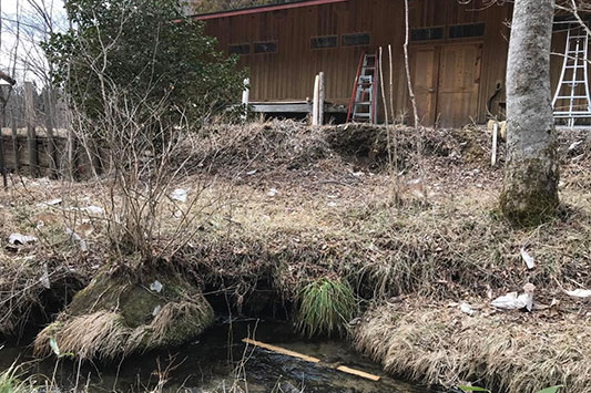 �Ȃ��̏���