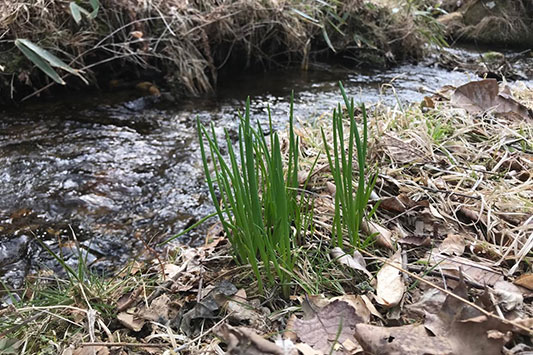 ������