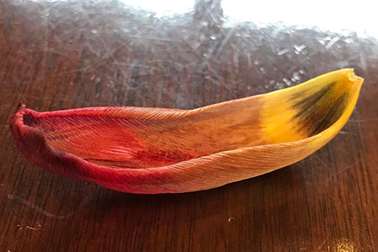 �`���[���b�v�J�k�[