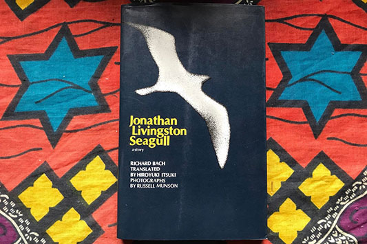 �����߂̃W���i�T��