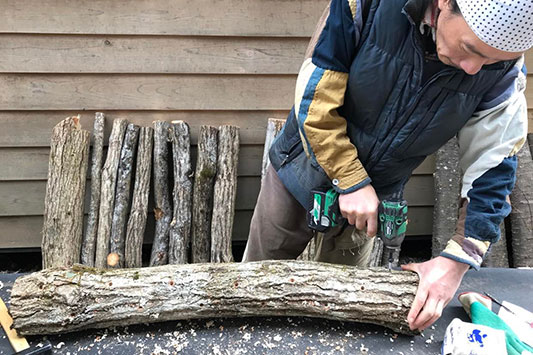 ���̂��̋ۑł�