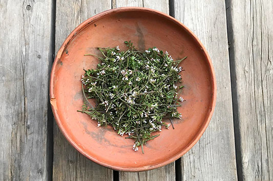 �^�l�c�P�o�i