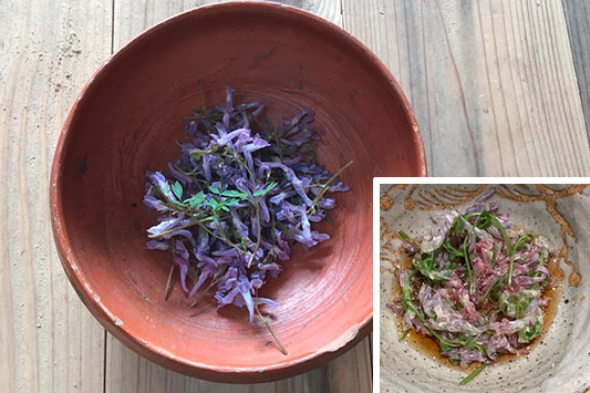 �G���S�T�N