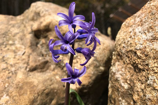 ���u���Ȃ�����