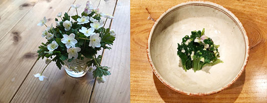 �j�����\�E�A���Ђ���