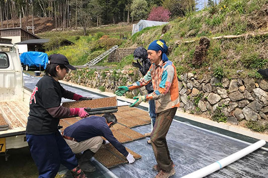 �c�����