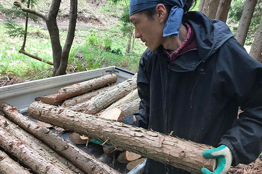 �y�g���ŉ^��