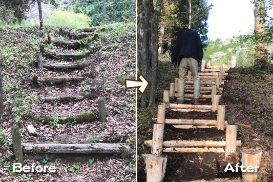 �r�t�H�[�A�t�^�[