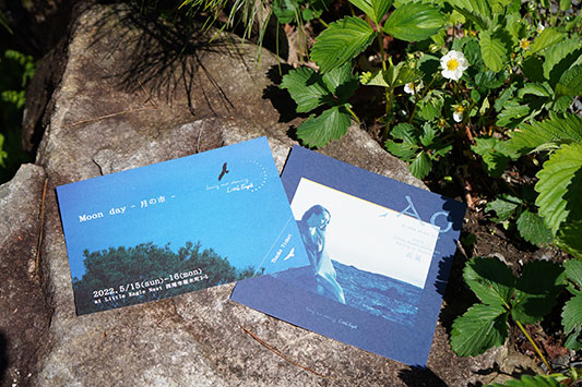 ���g���C�[�O���̂��炵